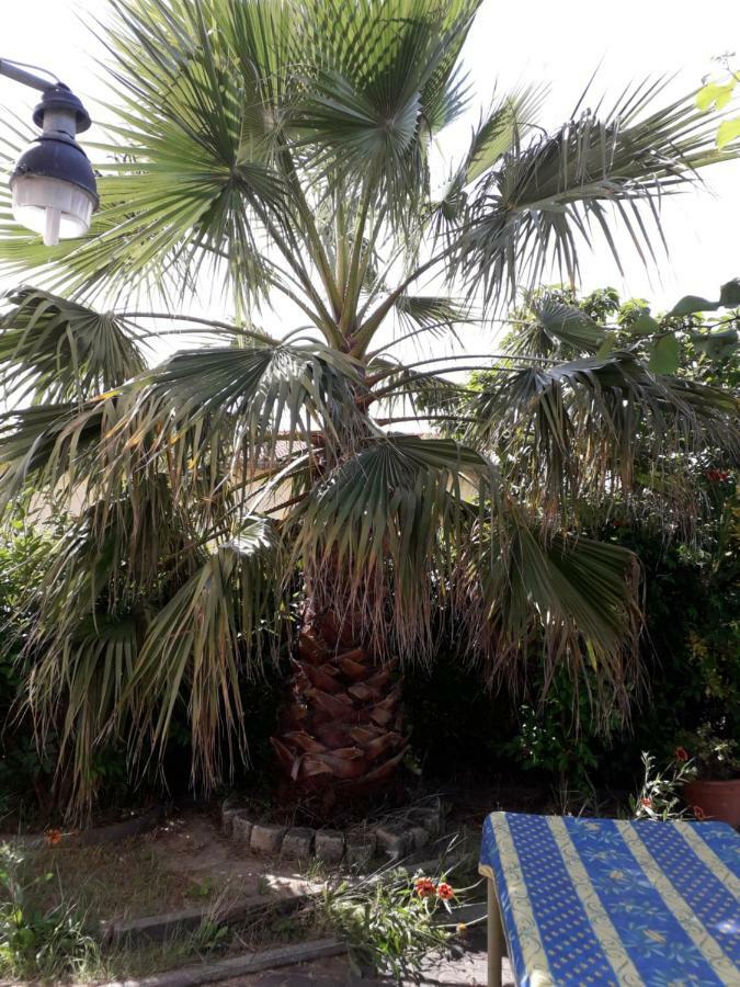 Rez De Chaussee Studio Climatise Dans Villa Aigues-Mortes Kültér fotó